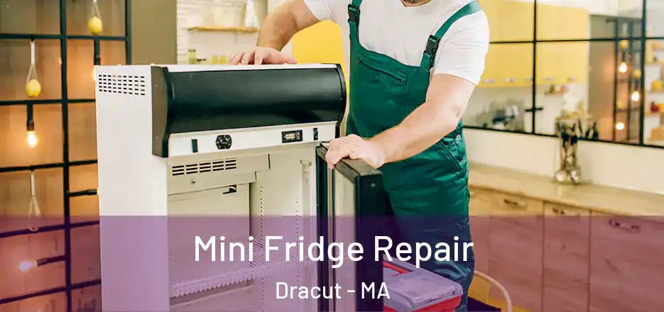 Mini Fridge Repair Dracut - MA